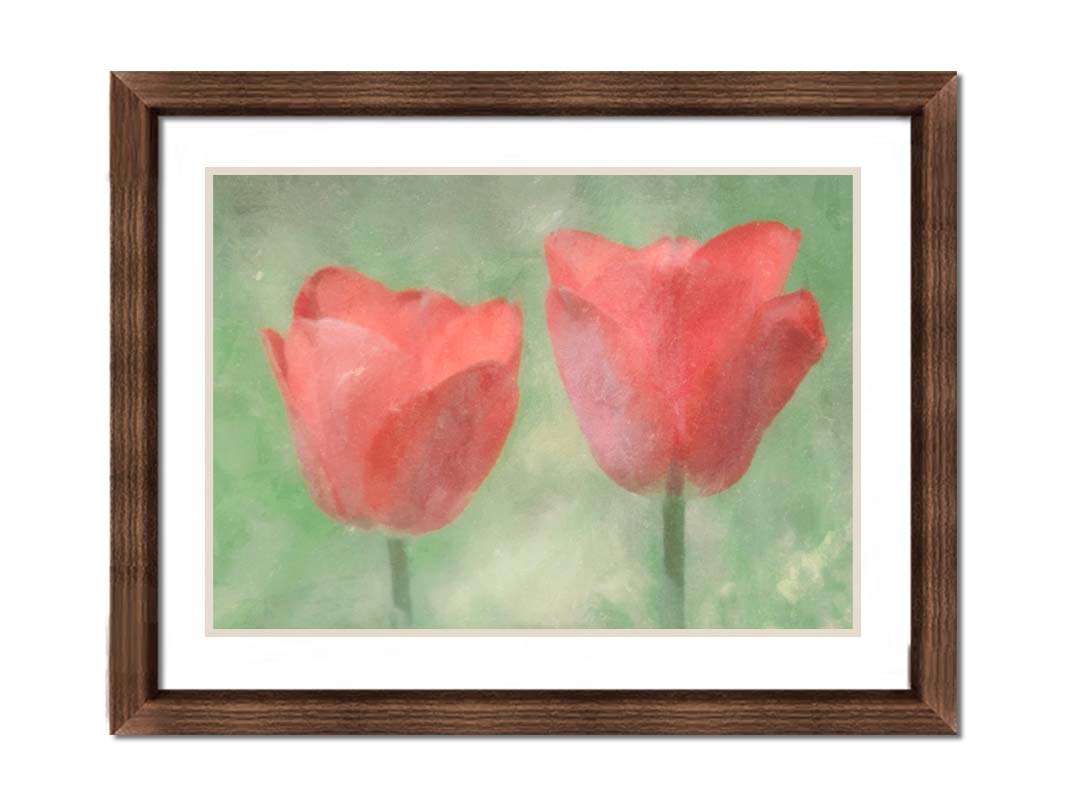 A photo of two red tulips against a green background, edited with dusty worn overlays. Printed on paper, matted, and framed.