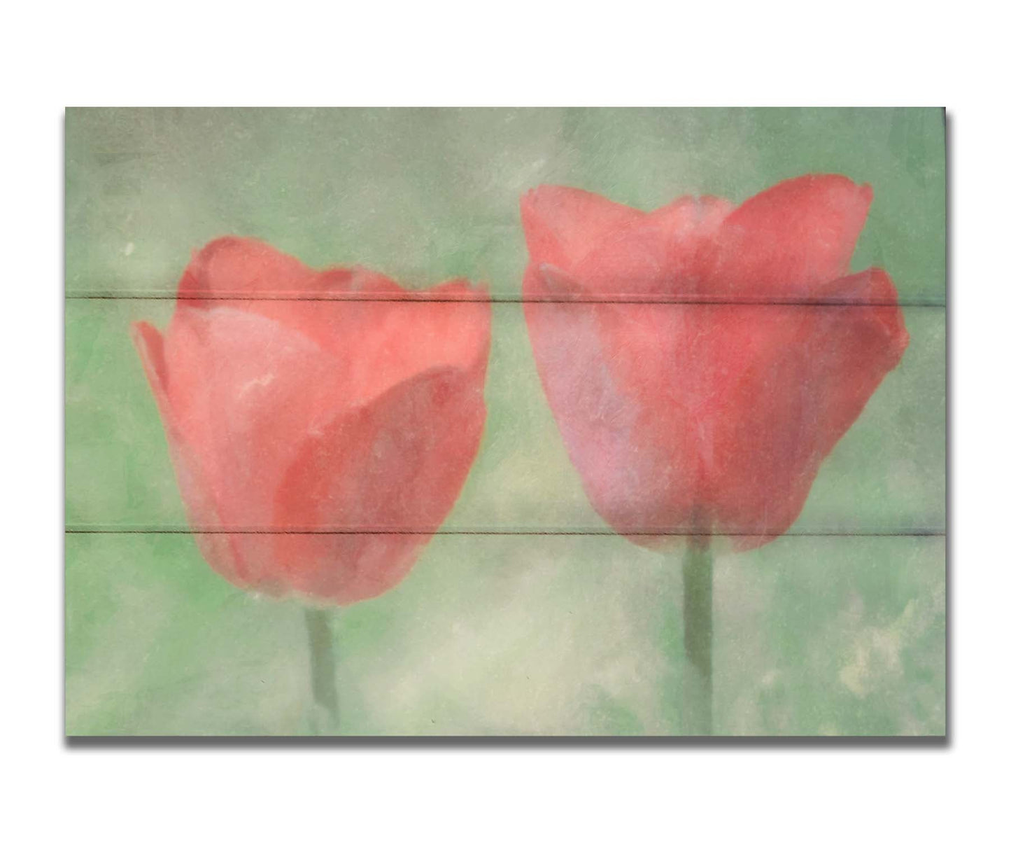 A photo of two red tulips against a green background, edited with dusty worn overlays. Printed on a box board.