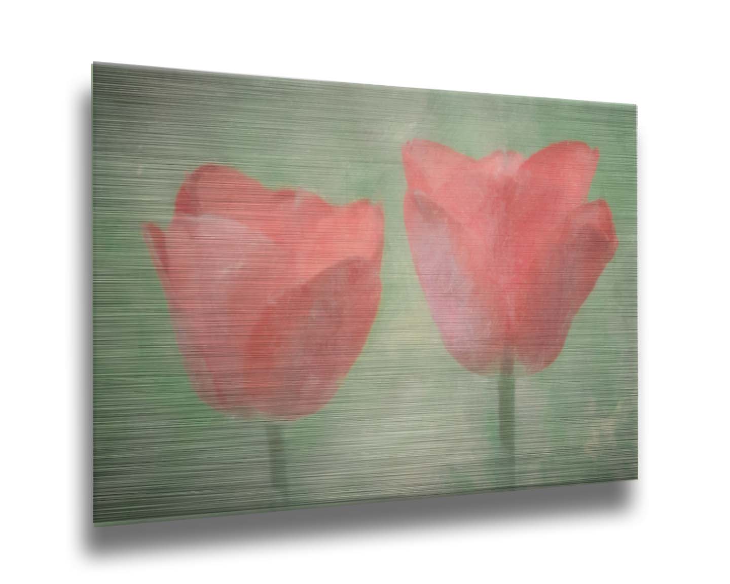 A photo of two red tulips against a green background, edited with dusty worn overlays. Printed on metal.