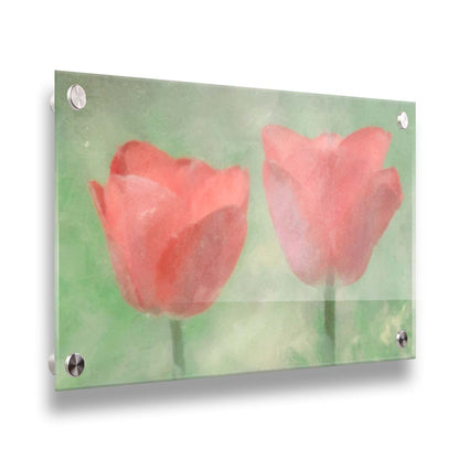 A photo of two red tulips against a green background, edited with dusty worn overlays. Printed on acrylic.