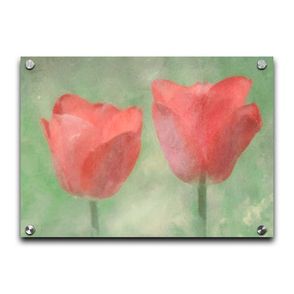 A photo of two red tulips against a green background, edited with dusty worn overlays. Printed on acrylic.