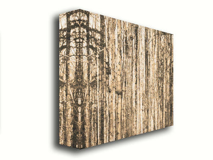 A photo of a crowded forest of trees clustered tightly together, portrayed in a sepia tone. Printed on canvas.