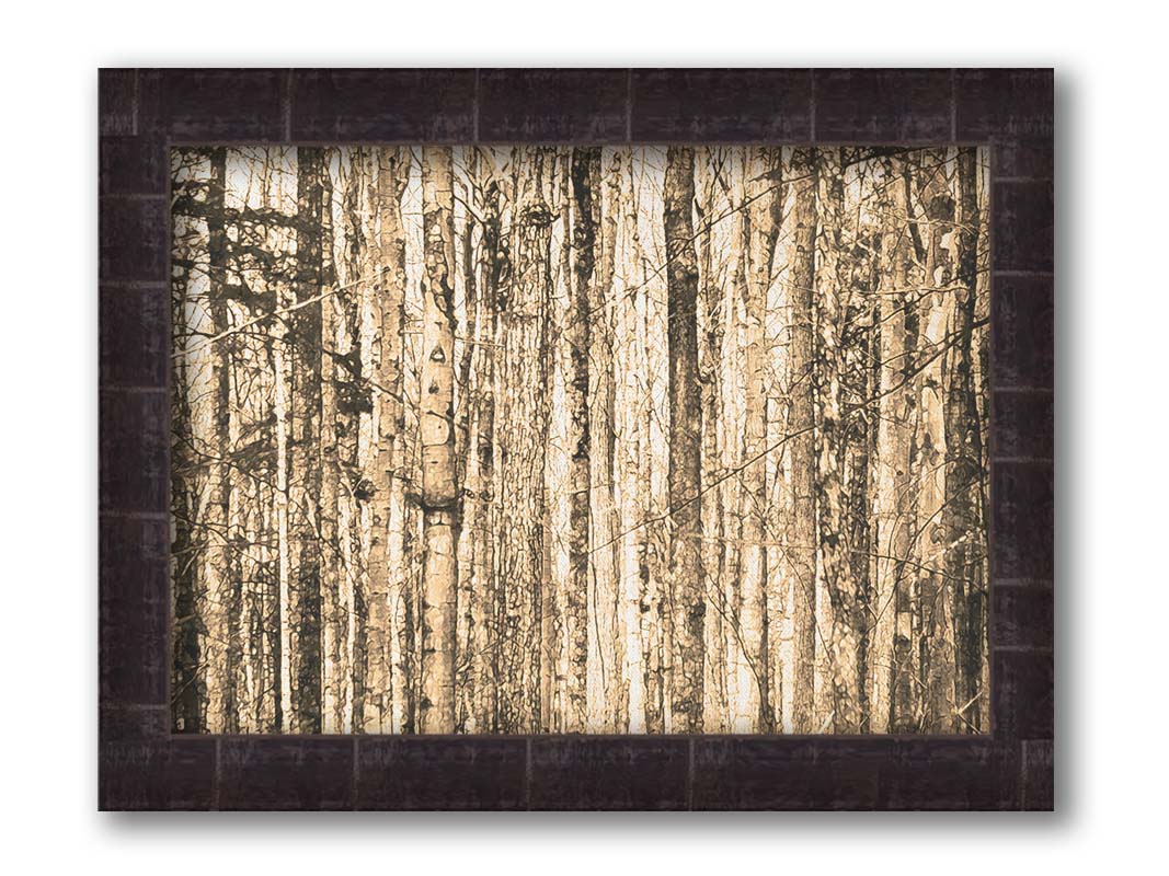 A photo of a crowded forest of trees clustered tightly together, portrayed in a sepia tone. Printed on canvas and framed.