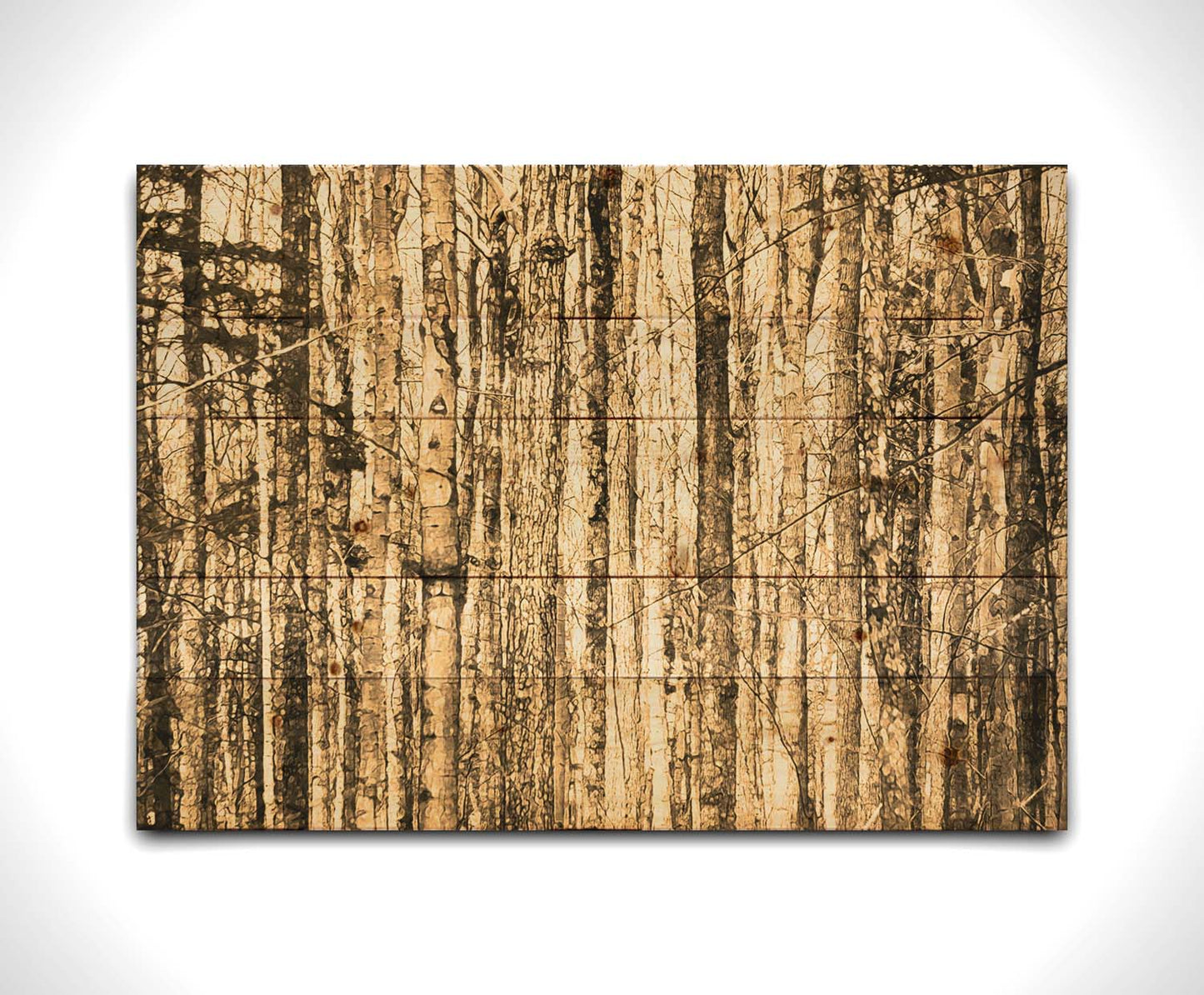 A photo of a crowded forest of trees clustered tightly together, portrayed in a sepia tone. Printed on a wood pallet.