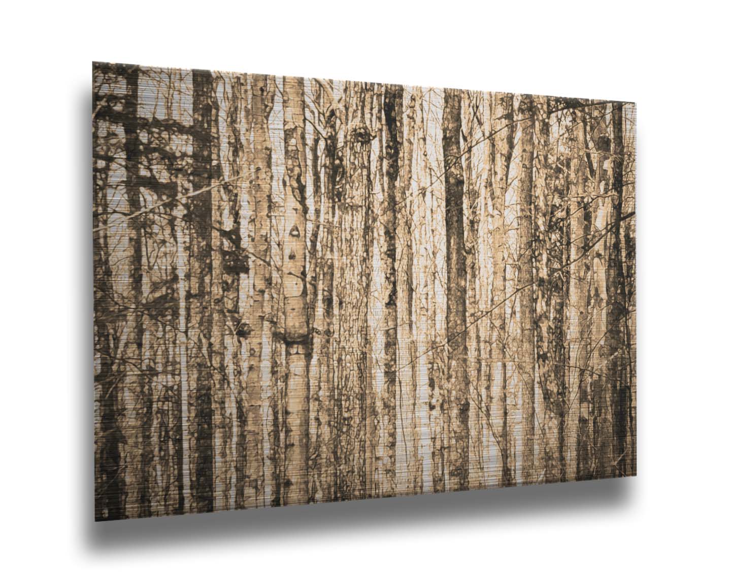 A photo of a crowded forest of trees clustered tightly together, portrayed in a sepia tone. Printed on metal.