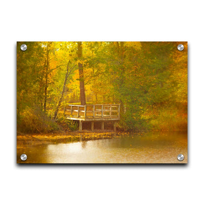 A photo of a small wooden dock, overlooking a forest lake during autumn. Yellow leaves cover the trees and ground, and float atop the water. Printed on acrylic.