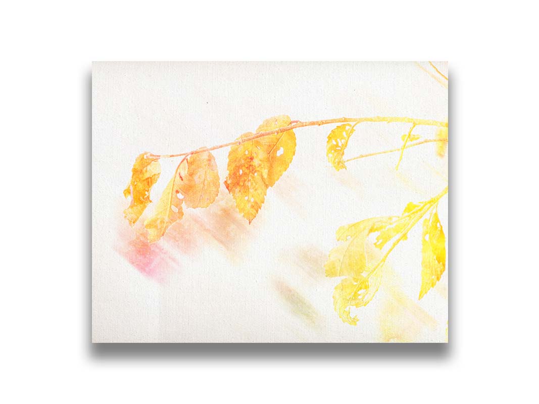 A still life photo of a stem of orange and yellow leaves aglow before a stark white background. Printed on canvas.