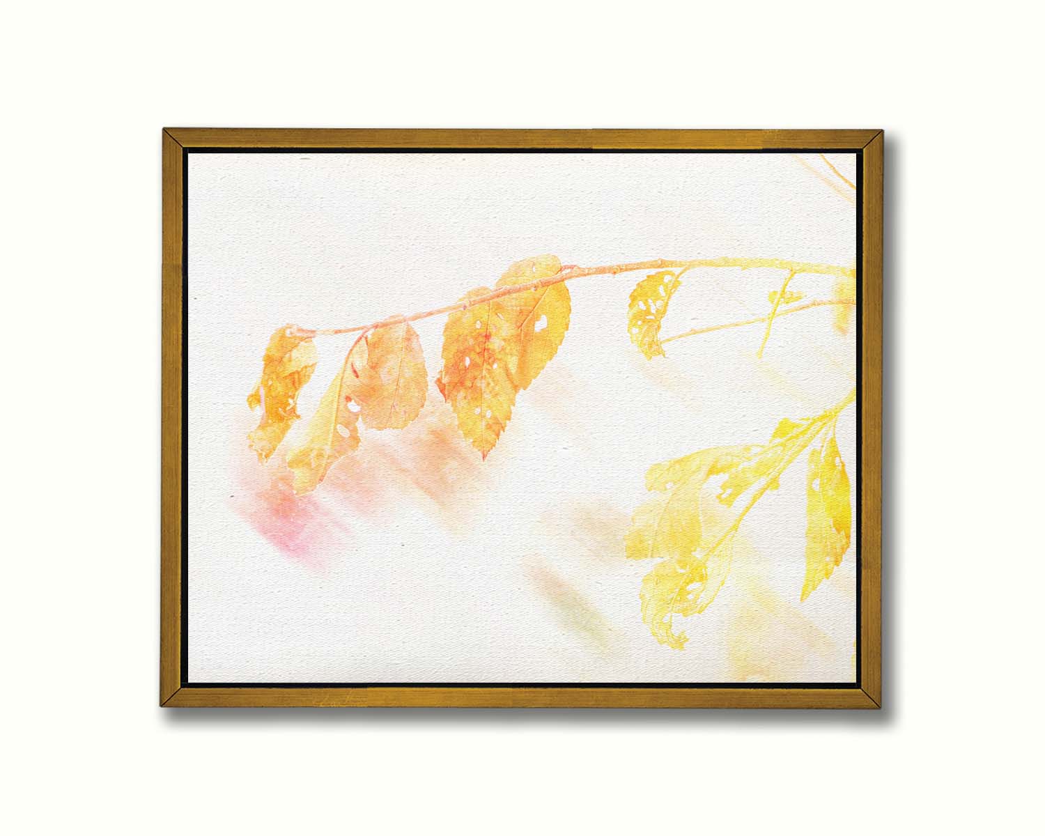 A still life photo of a stem of orange and yellow leaves aglow before a stark white background. Printed on canvas in a float frame.