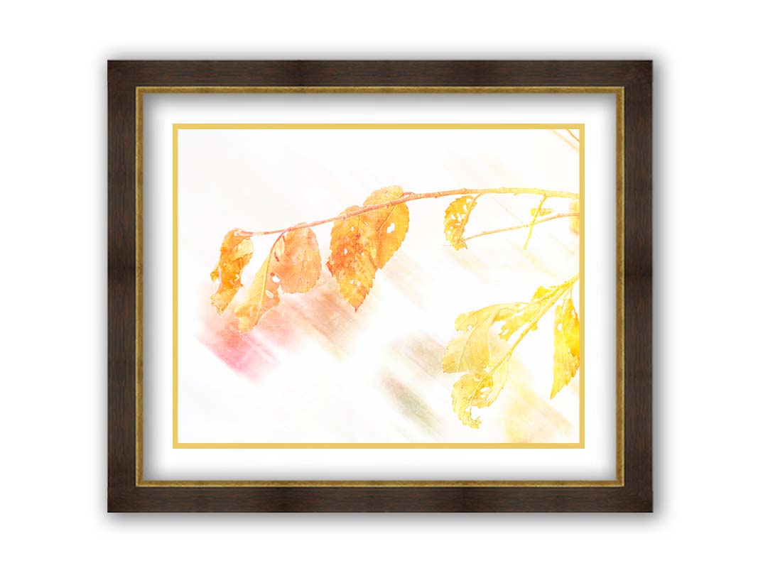 A still life photo of a stem of orange and yellow leaves aglow before a stark white background. Printed on paper, matted, and framed.