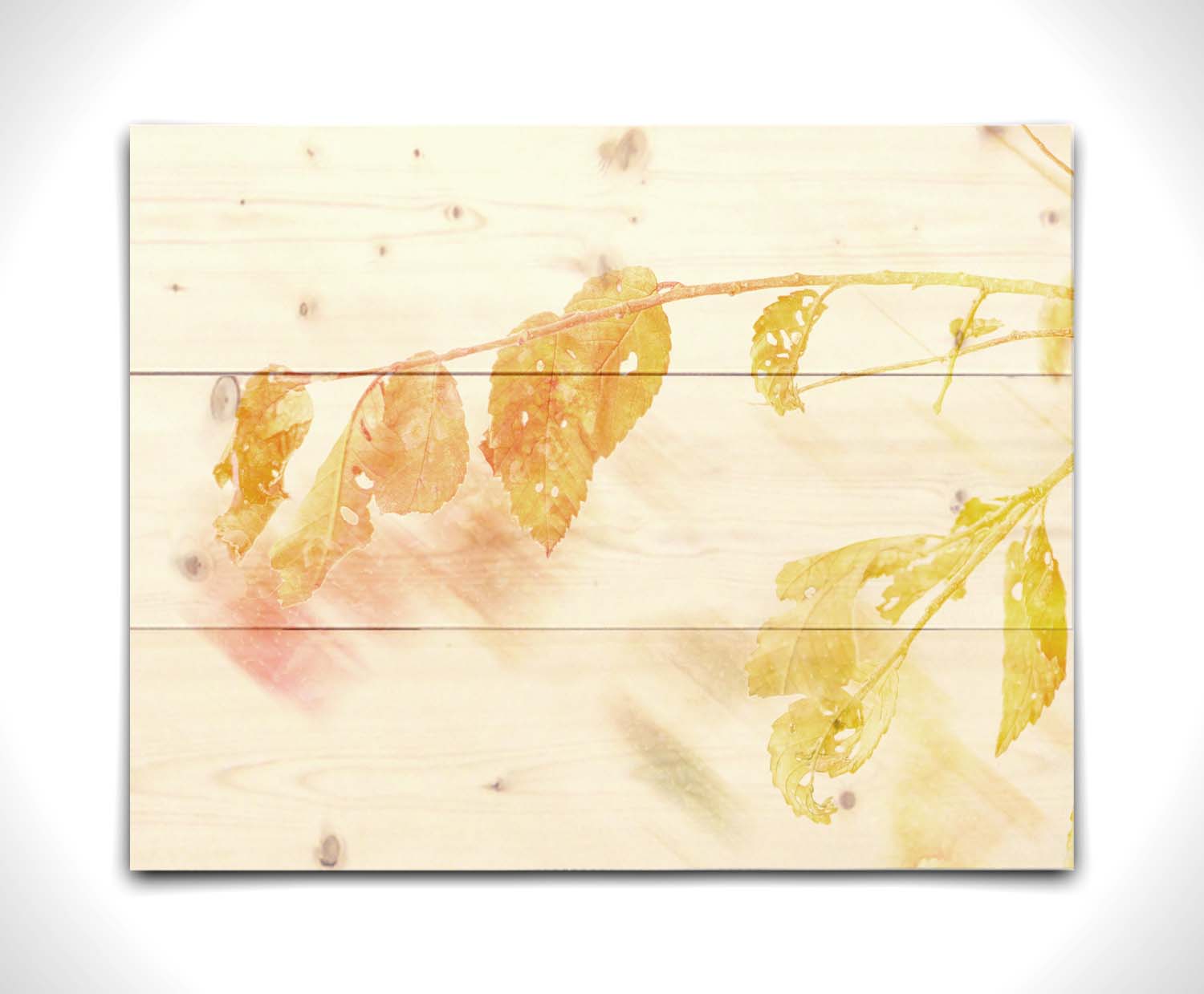 A still life photo of a stem of orange and yellow leaves aglow before a stark white background. Printed on a wood pallet.