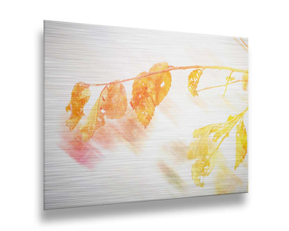 A still life photo of a stem of orange and yellow leaves aglow before a stark white background. Printed on metal.