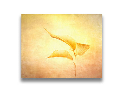 A still life photo of a twig with three yellowed leaves on the end, positioned vertically against a textured yellow and orange background. Printed on canvas.