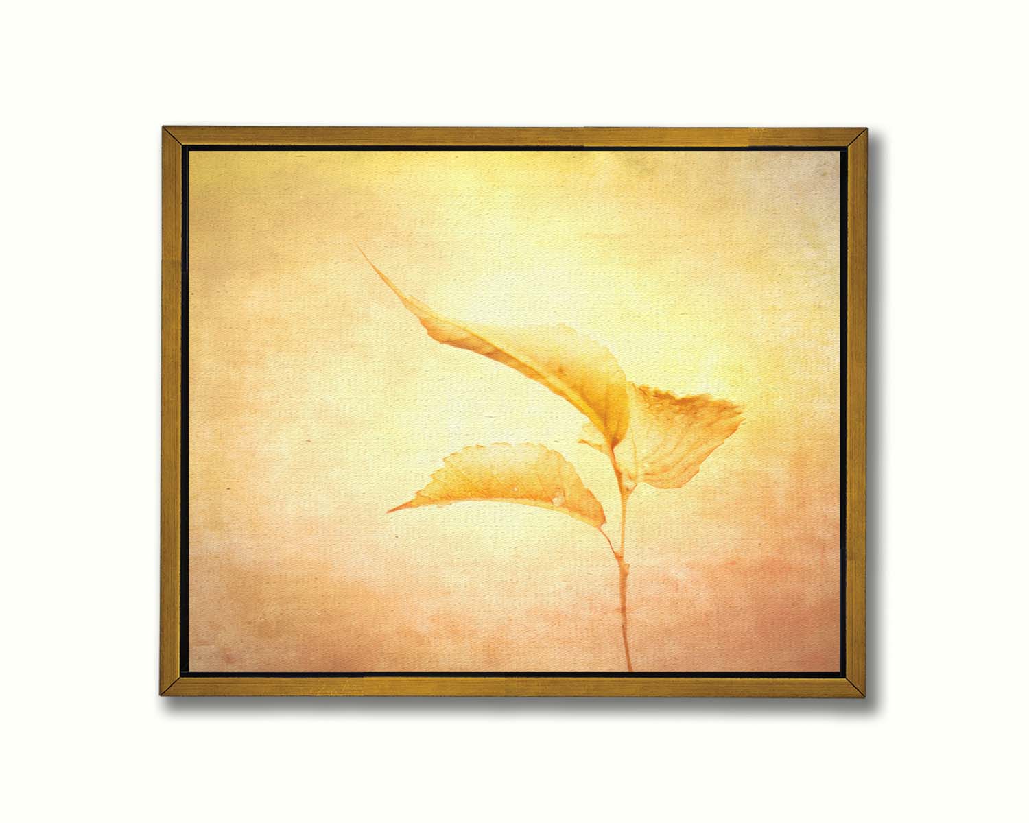 A still life photo of a twig with three yellowed leaves on the end, positioned vertically against a textured yellow and orange background. Printed on canvas in a float frame.