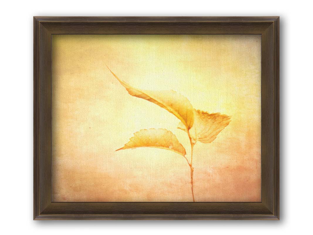 A still life photo of a twig with three yellowed leaves on the end, positioned vertically against a textured yellow and orange background. Printed on canvas and framed.