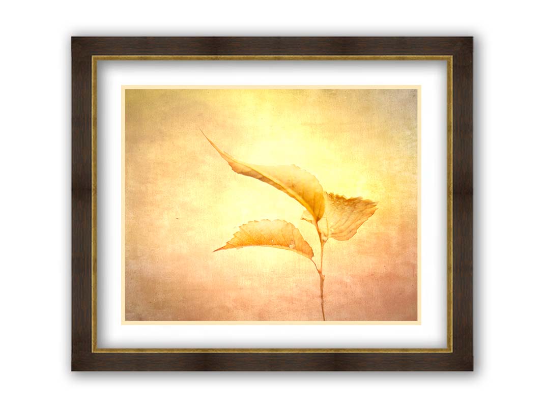 A still life photo of a twig with three yellowed leaves on the end, positioned vertically against a textured yellow and orange background. Printed on paper, matted, and framed.