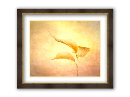 A still life photo of a twig with three yellowed leaves on the end, positioned vertically against a textured yellow and orange background. Printed on paper, matted, and framed.