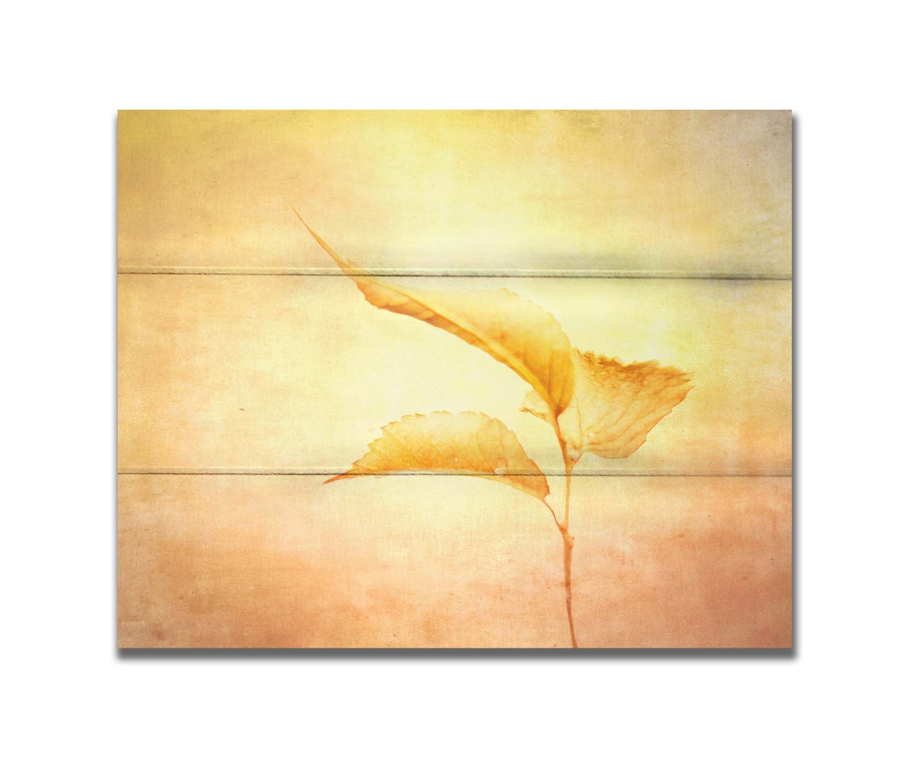 A still life photo of a twig with three yellowed leaves on the end, positioned vertically against a textured yellow and orange background. Printed on a box board.