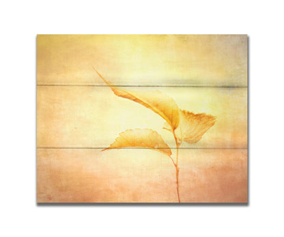 A still life photo of a twig with three yellowed leaves on the end, positioned vertically against a textured yellow and orange background. Printed on a box board.