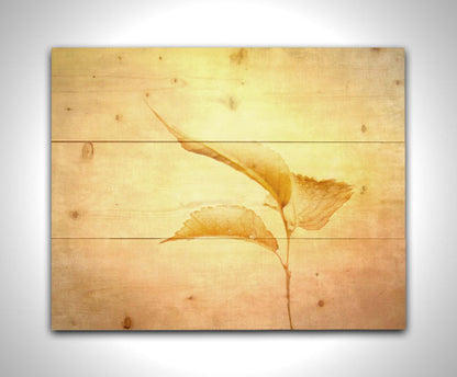 A still life photo of a twig with three yellowed leaves on the end, positioned vertically against a textured yellow and orange background. Printed on a wood pallet.