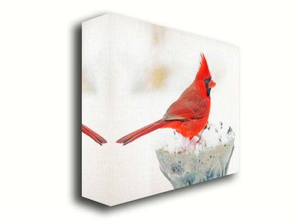 A photograph of a bright red cardinal, perched on a snowy post, eating seeds. Printed on canvas.