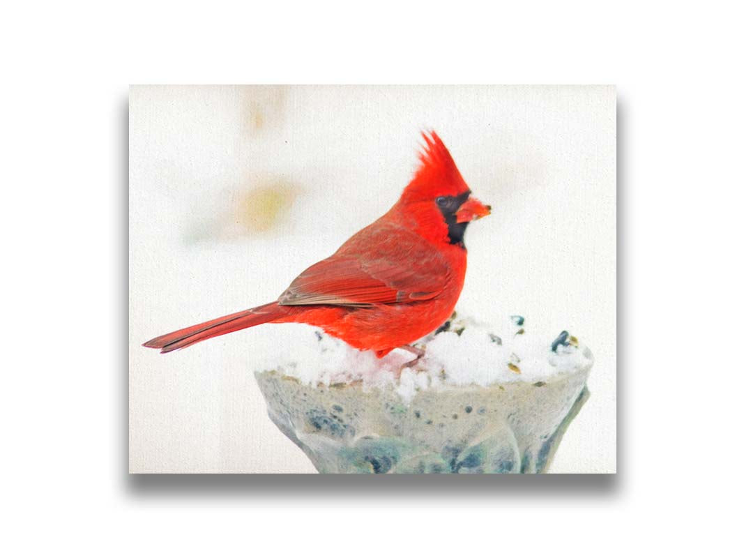 A photograph of a bright red cardinal, perched on a snowy post, eating seeds. Printed on canvas.