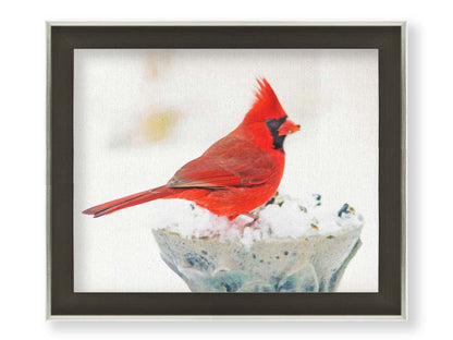 A photograph of a bright red cardinal, perched on a snowy post, eating seeds. Printed on canvas and framed.