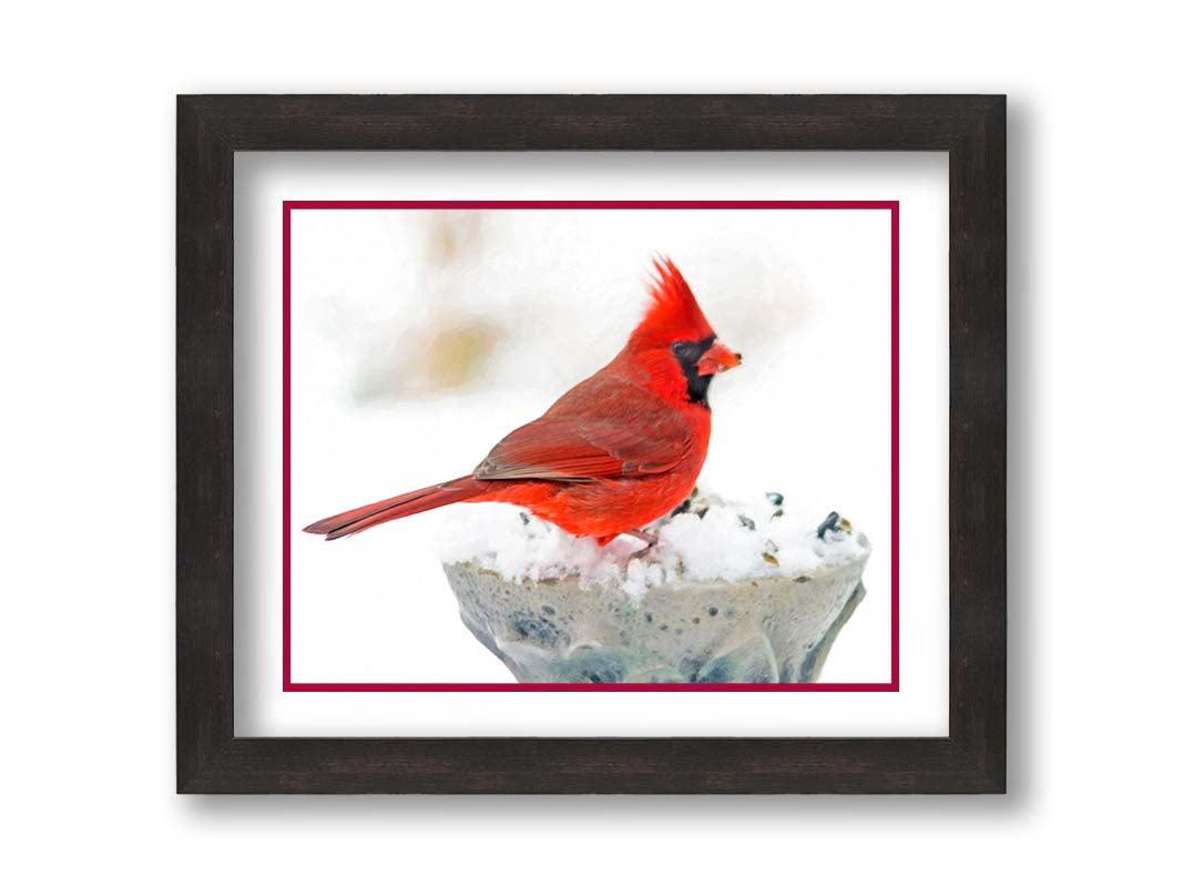 A photograph of a bright red cardinal, perched on a snowy post, eating seeds. Printed on paper, matted, and framed.