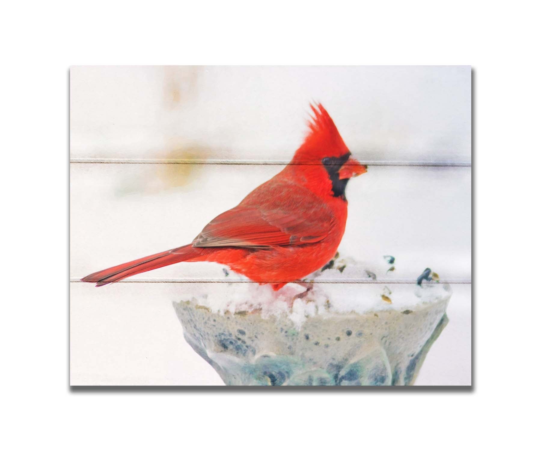 A photograph of a bright red cardinal, perched on a snowy post, eating seeds. Printed on a box board.