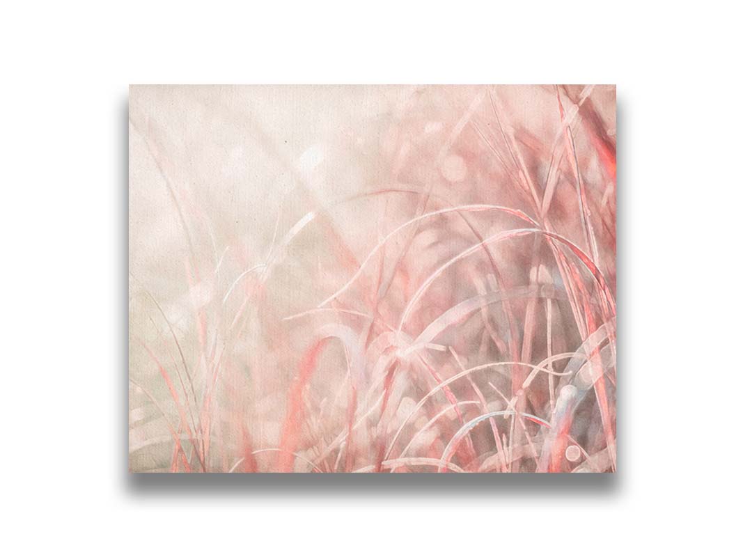 A monochrome red photograph close up on grasses. The shallow depth of field and bright back lighting create sparkling bokeh light effects. Printed on canvas.