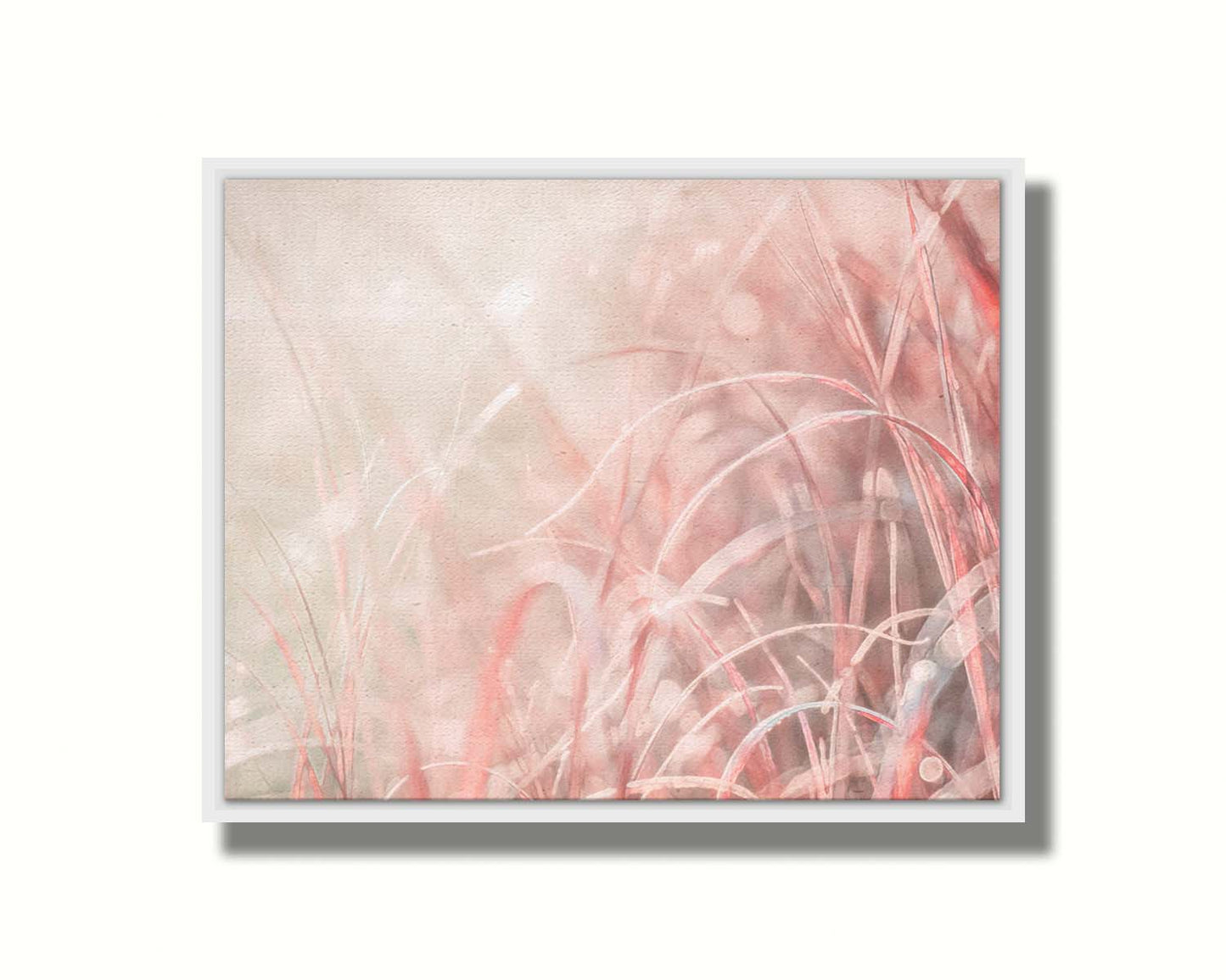 A monochrome red photograph close up on grasses. The shallow depth of field and bright back lighting create sparkling bokeh light effects. Printed on canvas in a float frame.