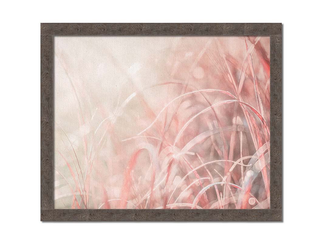 A monochrome red photograph close up on grasses. The shallow depth of field and bright back lighting create sparkling bokeh light effects. Printed on canvas and fraemd.