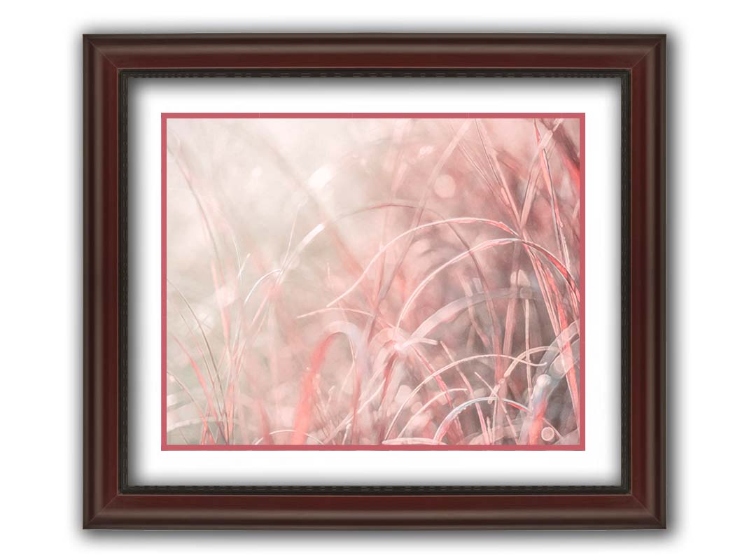 A monochrome red photograph close up on grasses. The shallow depth of field and bright back lighting create sparkling bokeh light effects. Printed on paper, matted, and framed.