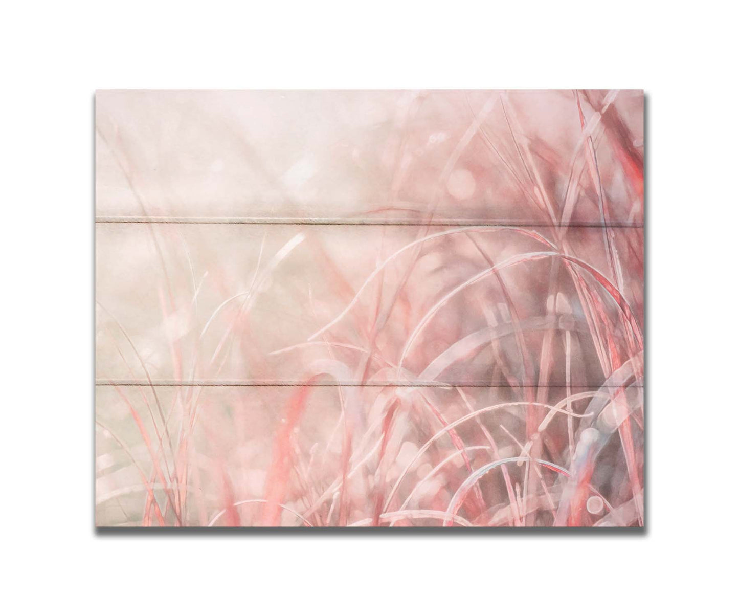 A monochrome red photograph close up on grasses. The shallow depth of field and bright back lighting create sparkling bokeh light effects. Printed on a box board.