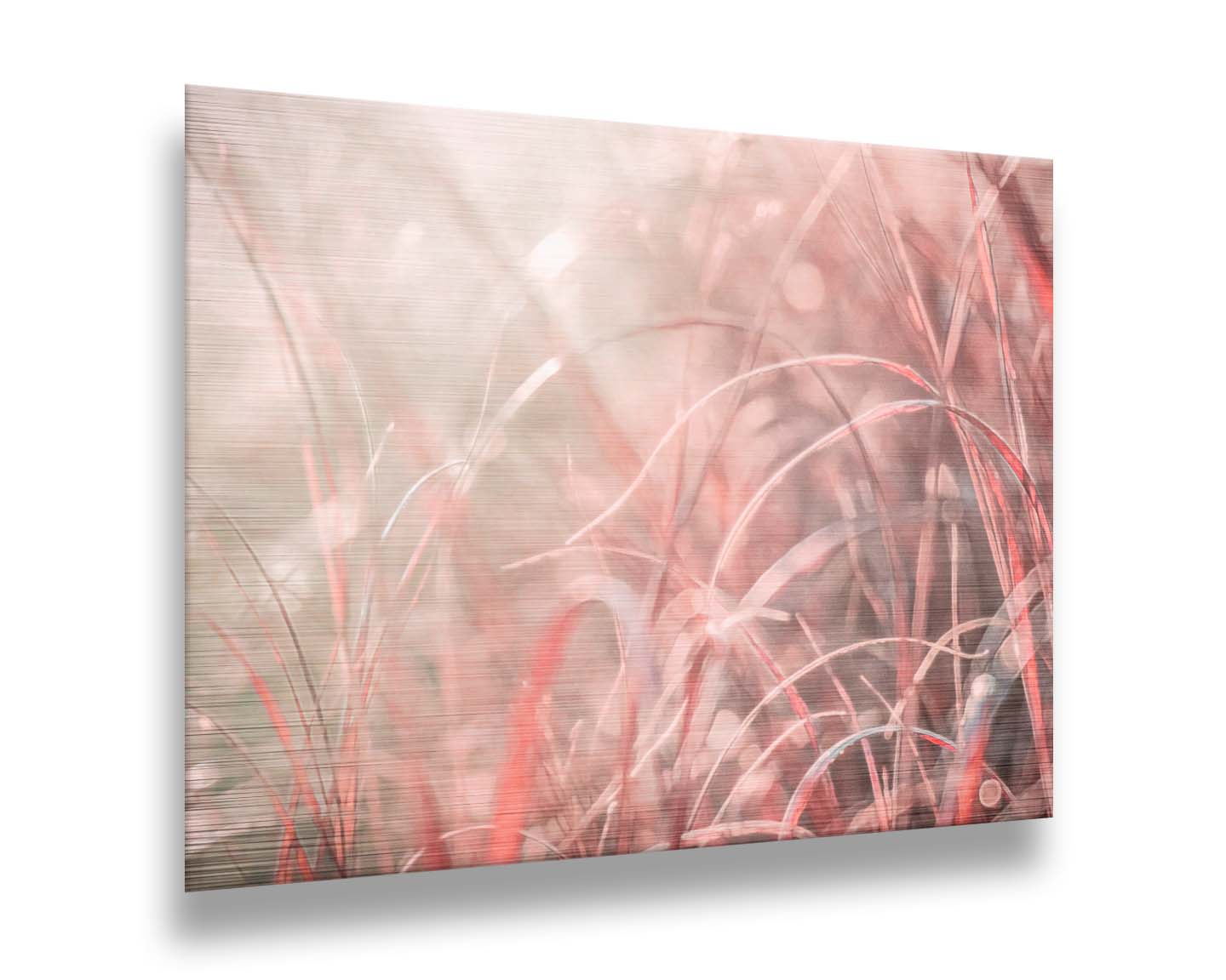 A monochrome red photograph close up on grasses. The shallow depth of field and bright back lighting create sparkling bokeh light effects. Printed on metal.