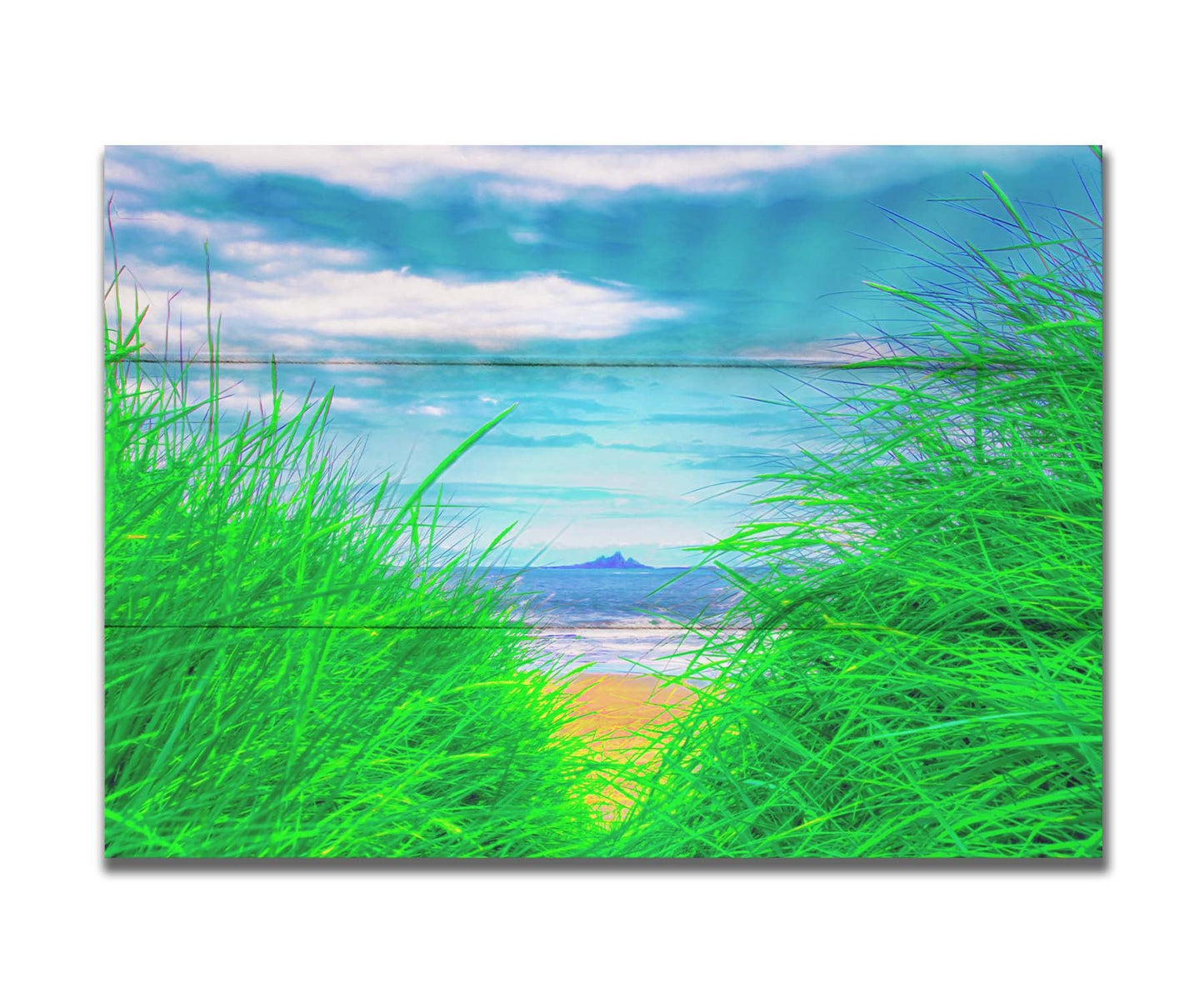 A photograph, edited to increase saturation, looking out at the sea between grassy plants on the beach. A rocky outcropping can be seen in the distance. Printed on a box board.