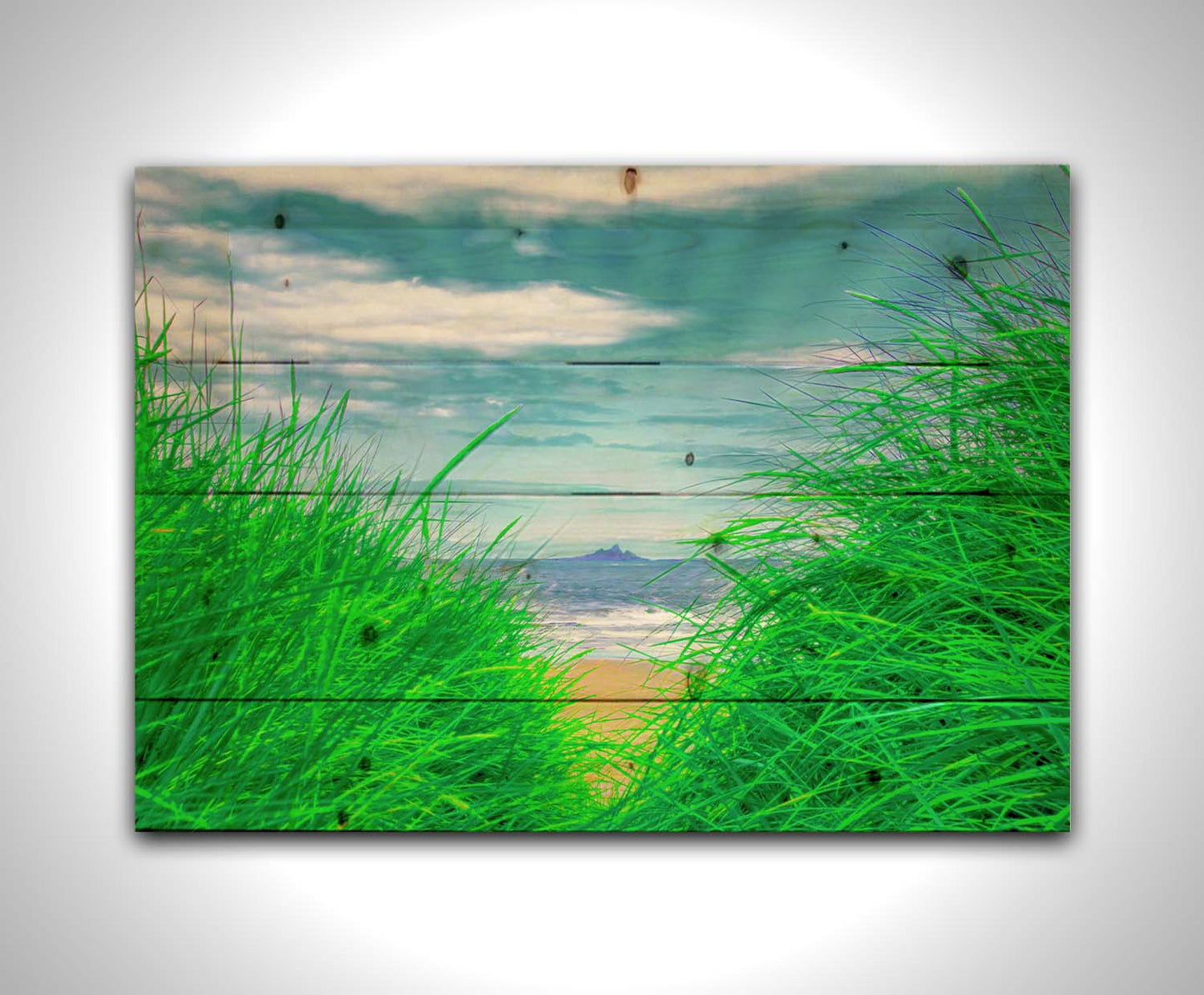 A photograph, edited to increase saturation, looking out at the sea between grassy plants on the beach. A rocky outcropping can be seen in the distance. Printed on a wood pallet.