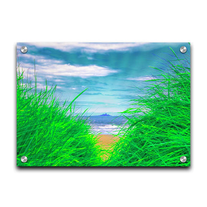 A photograph, edited to increase saturation, looking out at the sea between grassy plants on the beach. A rocky outcropping can be seen in the distance. Printed on acrylic.