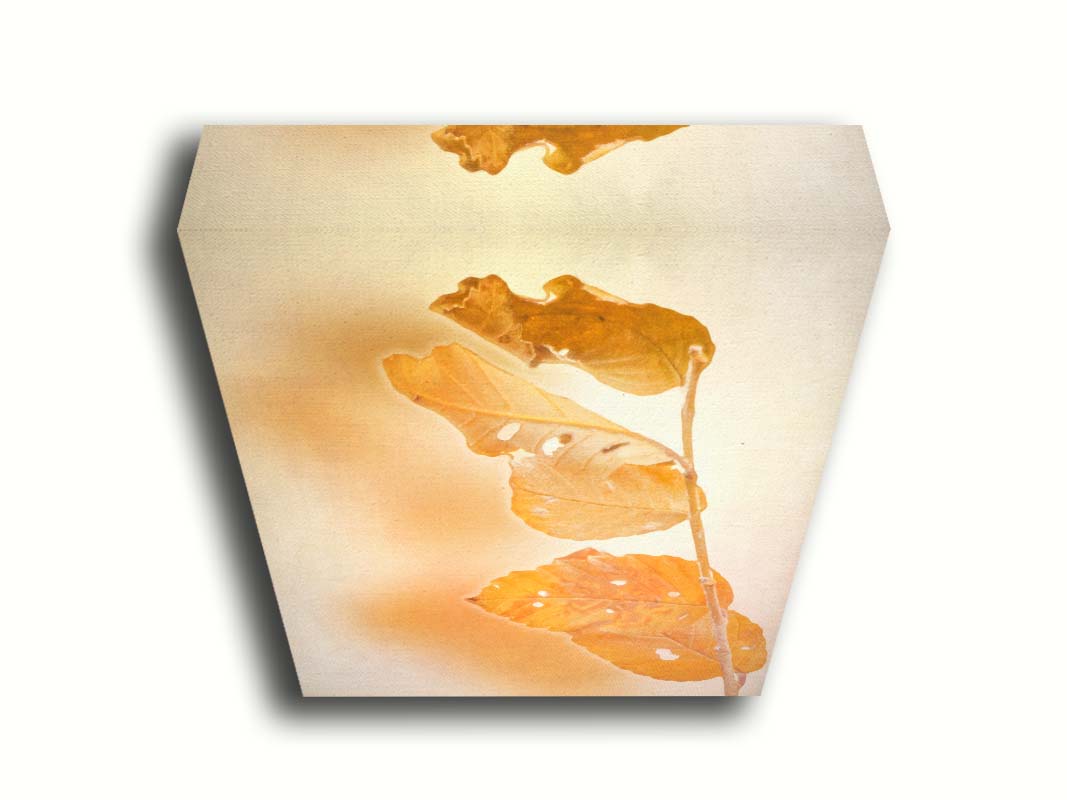 A photograph of a stem with four vibrant orange leaves, radiating their color against a plain background. Printed on canvas.