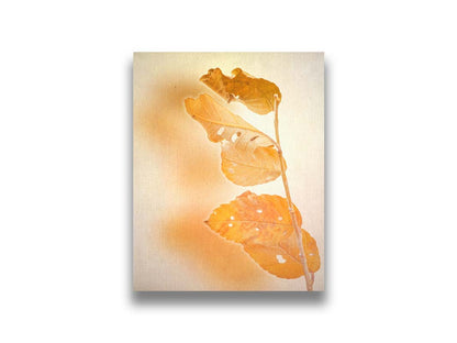 A photograph of a stem with four vibrant orange leaves, radiating their color against a plain background. Printed on canvas.