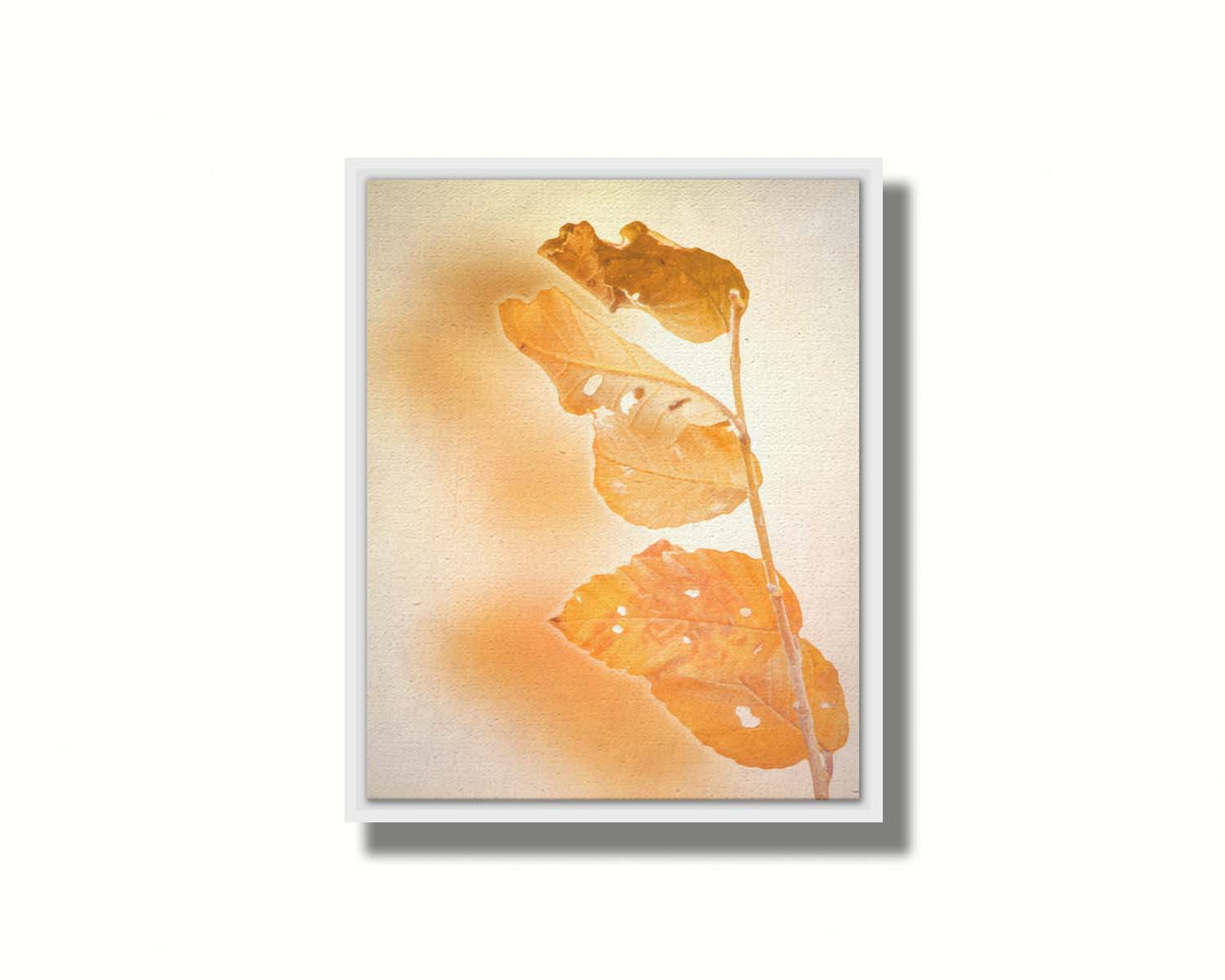 A photograph of a stem with four vibrant orange leaves, radiating their color against a plain background. Printed on canvas in a float frame.