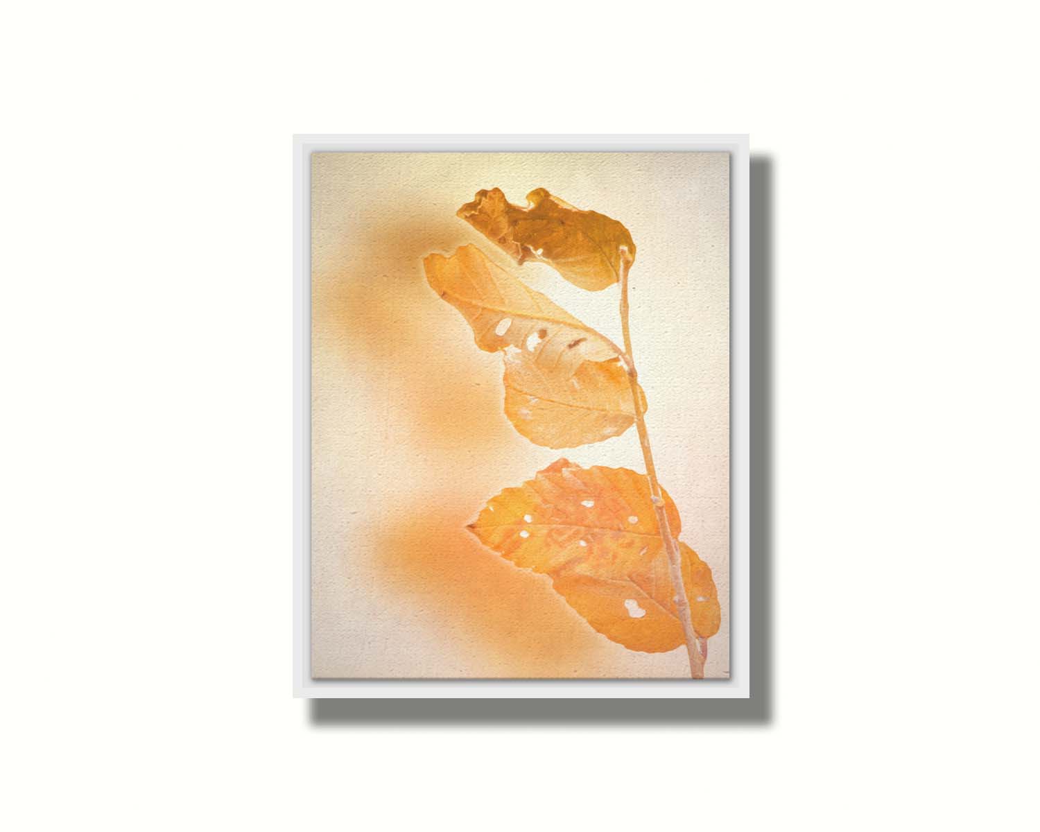 A photograph of a stem with four vibrant orange leaves, radiating their color against a plain background. Printed on canvas in a float frame.