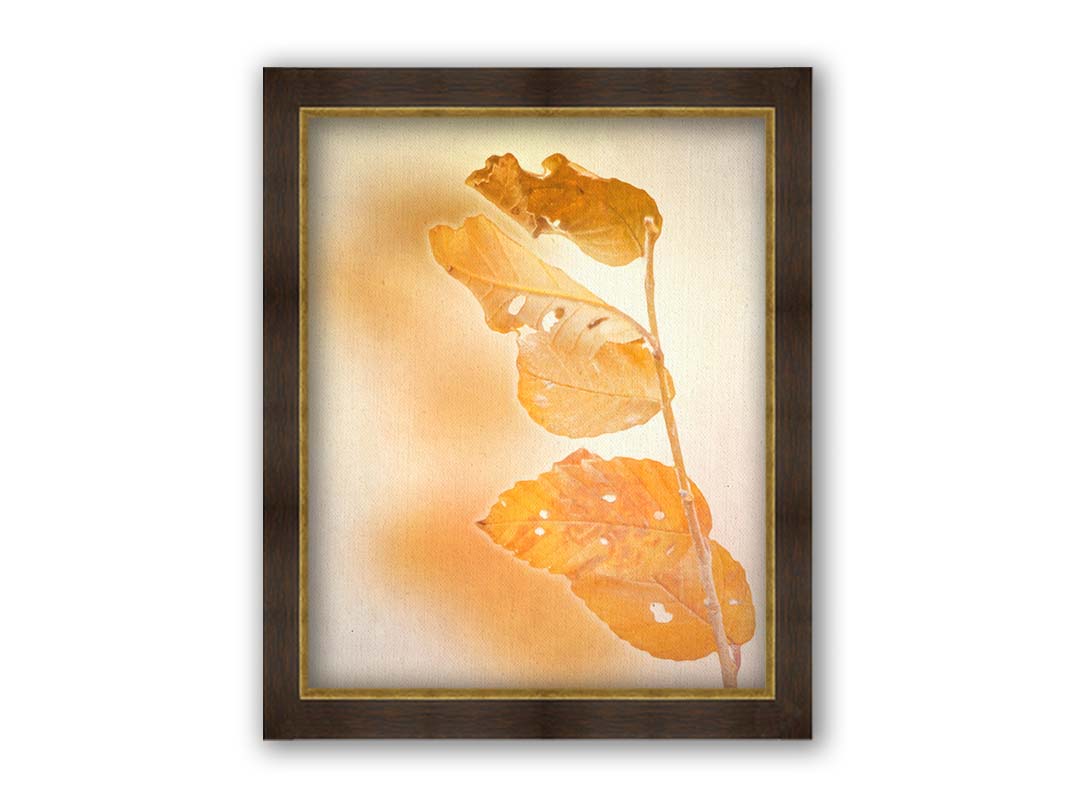 A photograph of a stem with four vibrant orange leaves, radiating their color against a plain background. Printed on canvas and framed.