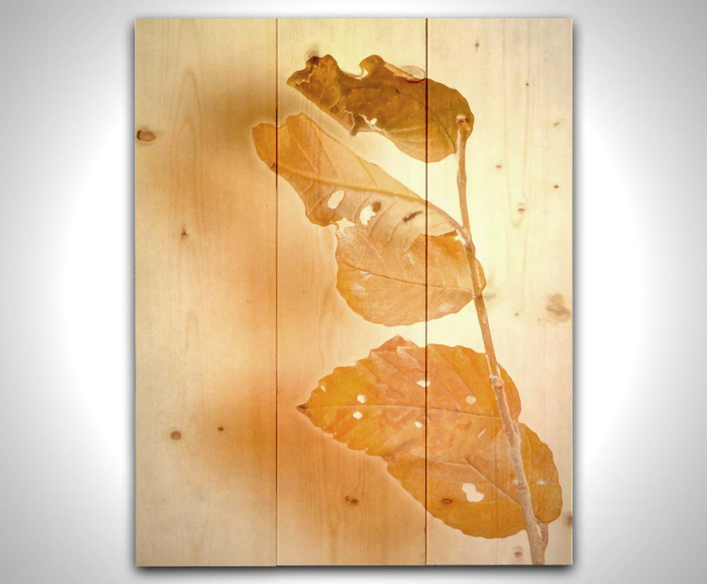 A photograph of a stem with four vibrant orange leaves, radiating their color against a plain background. Printed on a wood pallet.