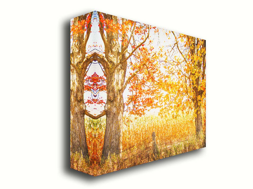 A photograph of a golden field, framed by two large trees sporting red, orange, and yellow leaves. The white light of the sky shines down through the scene. Printed on canvas.