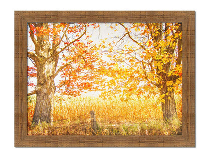 A photograph of a golden field, framed by two large trees sporting red, orange, and yellow leaves. The white light of the sky shines down through the scene. Printed on canvas and framed.