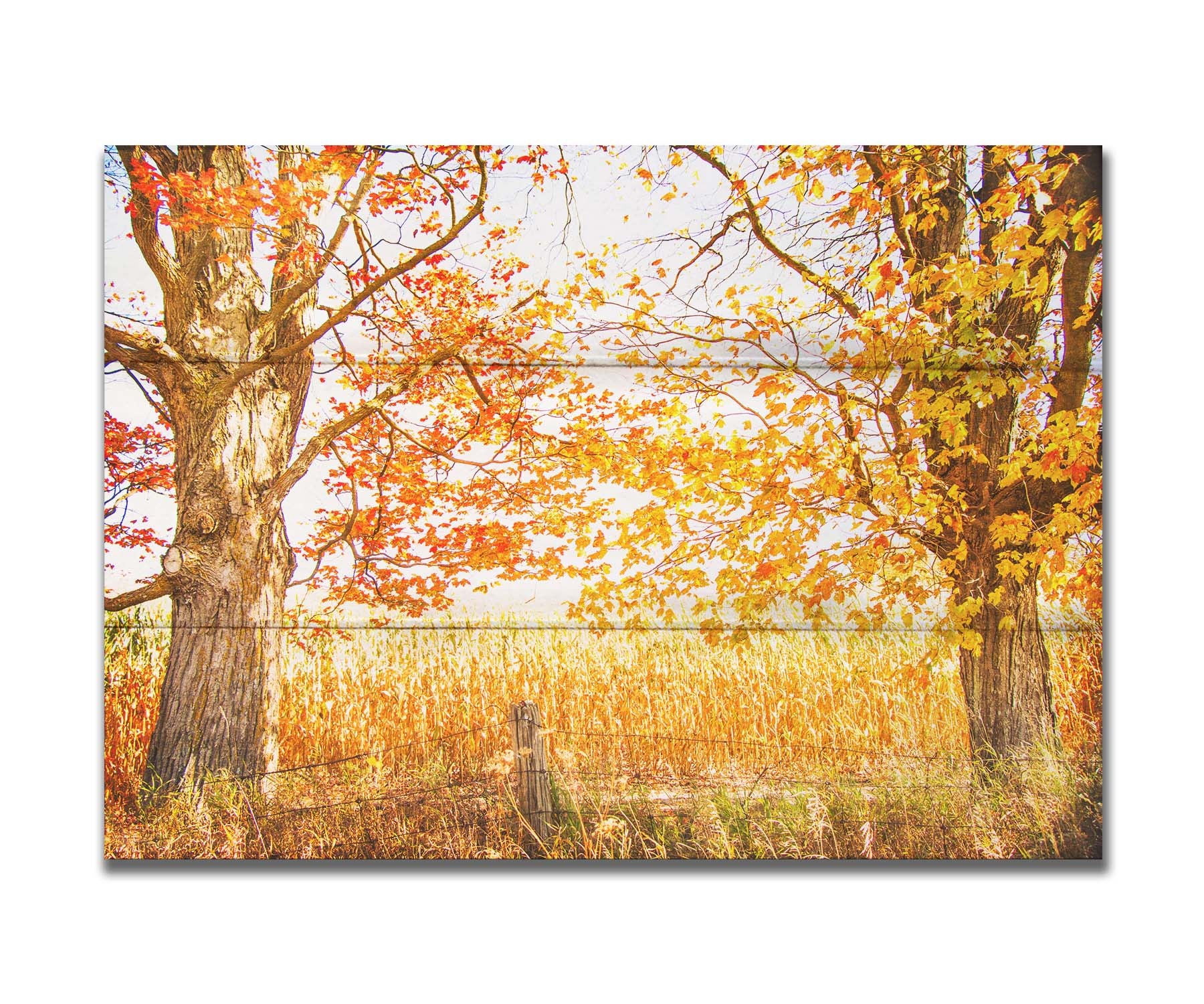 A photograph of a golden field, framed by two large trees sporting red, orange, and yellow leaves. The white light of the sky shines down through the scene. Printed on a box board.