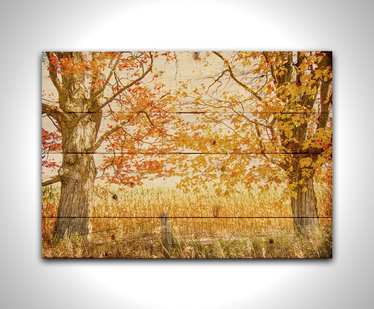 A photograph of a golden field, framed by two large trees sporting red, orange, and yellow leaves. The white light of the sky shines down through the scene. Printed on a wood pallet.