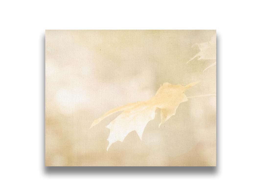 A photograph of a singular golden maple leaf in autumn, taken in a low depth of field for a soft bokeh background– all in a gentle sepia tone. Printed on canvas.