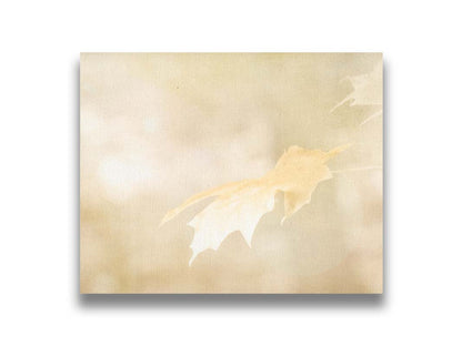 A photograph of a singular golden maple leaf in autumn, taken in a low depth of field for a soft bokeh background– all in a gentle sepia tone. Printed on canvas.