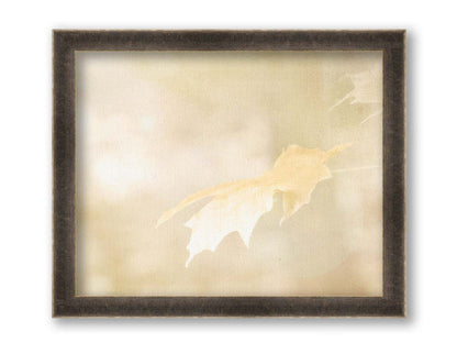 A photograph of a singular golden maple leaf in autumn, taken in a low depth of field for a soft bokeh background– all in a gentle sepia tone. Printed on canvas and framed.